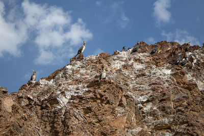 Low angle view of people on rock against sky