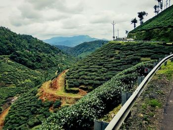 Panoramic view of agricultural field against sky