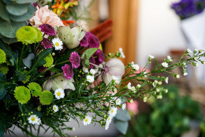 Close-up of pink flowering plants