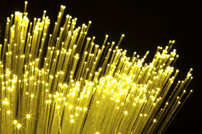 Close-up of yellow illuminated fiber optic lamp