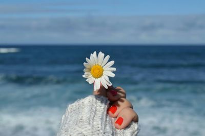 Woman hand holding flower