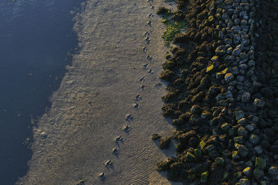 High angle view of footprints on beach