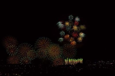 Low angle view of firework display at night