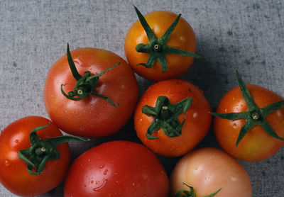 High angle view of tomatoes on table