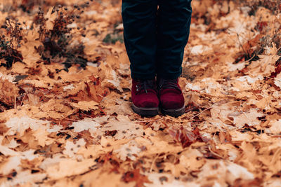 Low section of person standing on autumn leaves