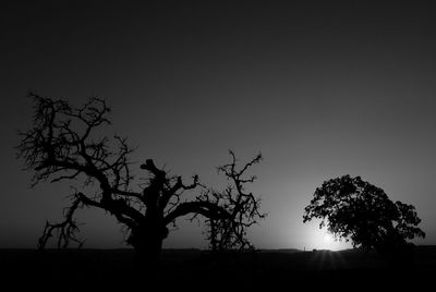 Silhouette trees on field against clear sky