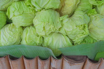 Full frame shot of green vegetables for sale in market