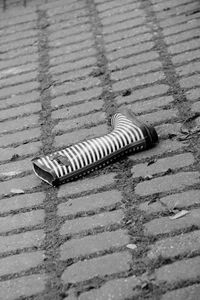 High angle view of insect on footpath