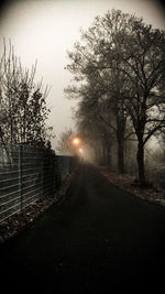 Road amidst bare trees at night