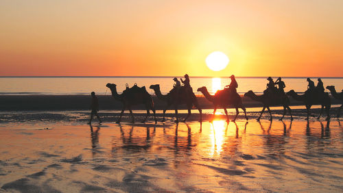 Silhouette people riding camels at beach during sunset