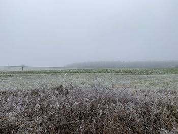 Scenic view of field against sky