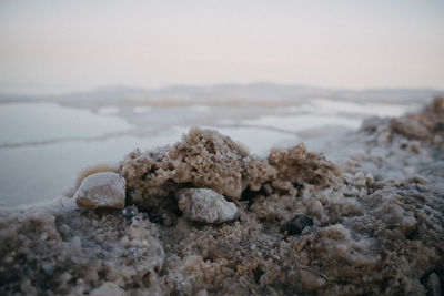 Close-up of rocks on beach against sky by dead sea