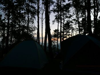 Silhouette trees against sky during sunset