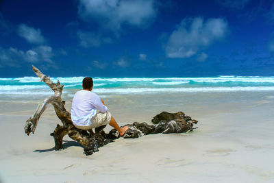 Rear view of man sitting on driftwood at beach against sky