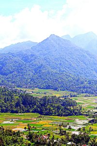 Scenic view of landscape against sky