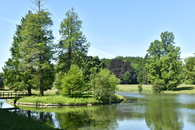 Scenic view of lake by trees against sky