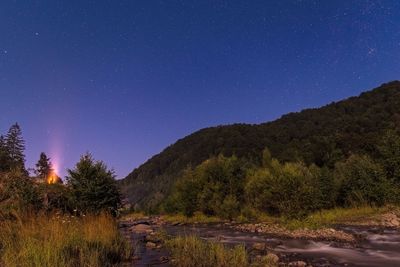 Scenic view of river in forest against clear sky