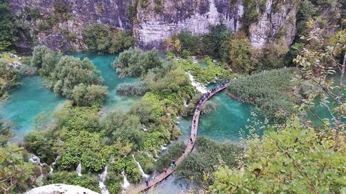 High angle view of river amidst trees in forest