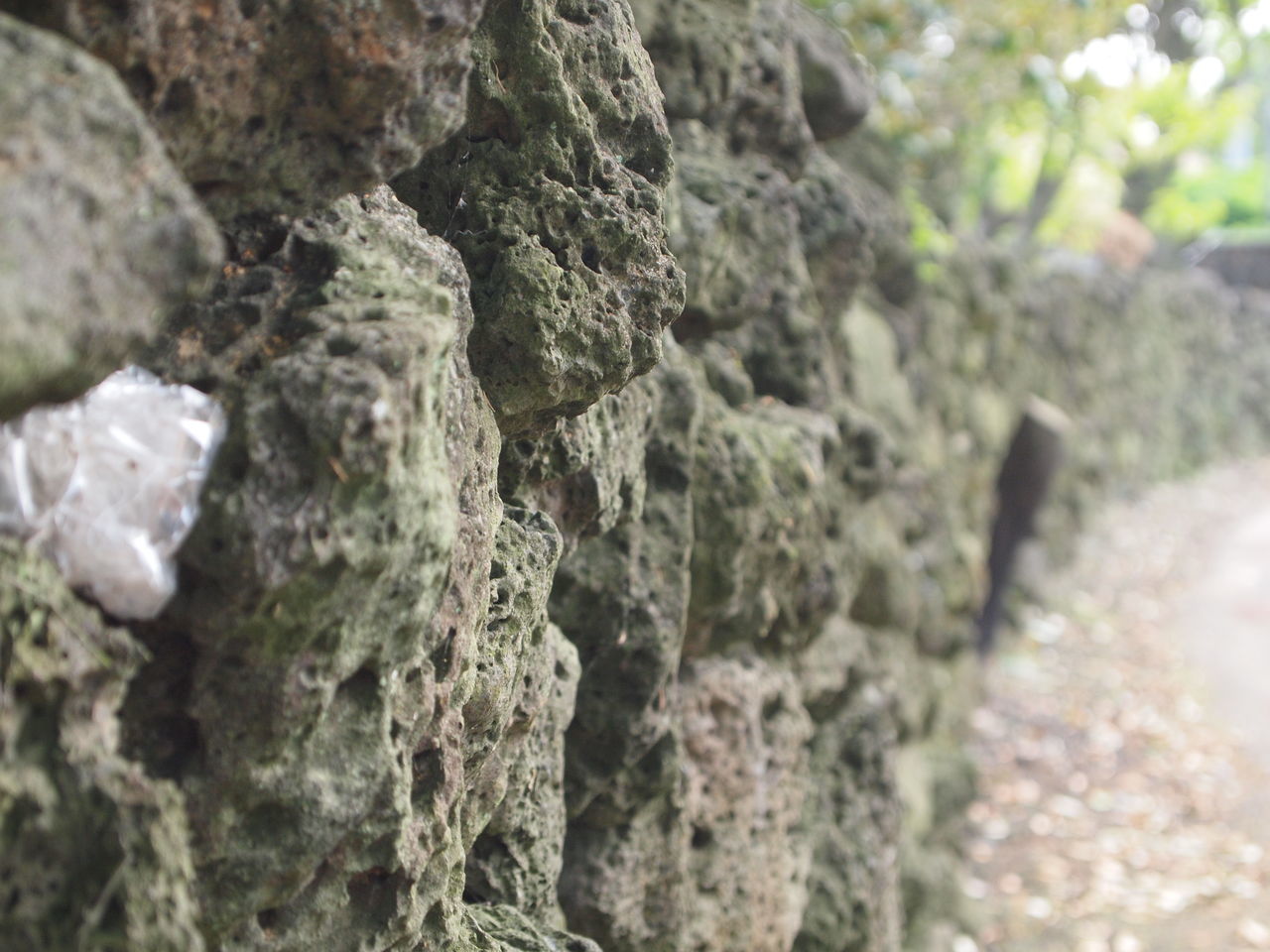 focus on foreground, close-up, rock - object, nature, textured, growth, beauty in nature, selective focus, tree, rock formation, tranquility, day, rough, outdoors, tree trunk, no people, moss, sunlight, plant, rock