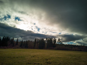 Scenic view of field against sky
