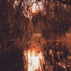 Scenic view of river at sunset