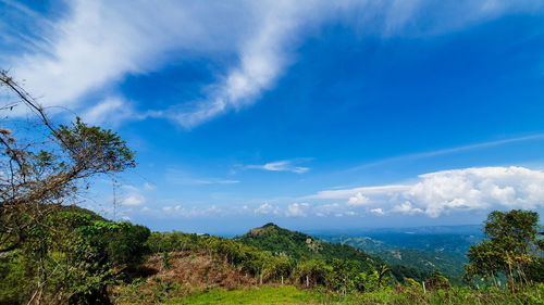 Scenic view of landscape against blue sky