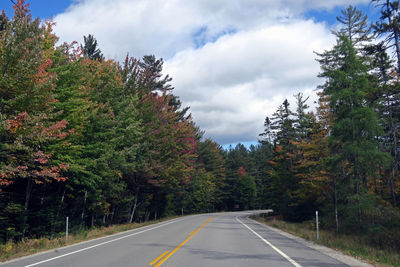 Road amidst trees against sky