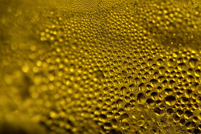 Full frame shot of wet yellow