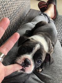 Midsection of person with dog