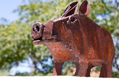 Close-up of rusty metal pig statue