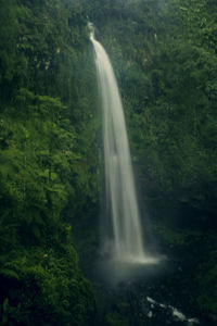 View of waterfall in forest
