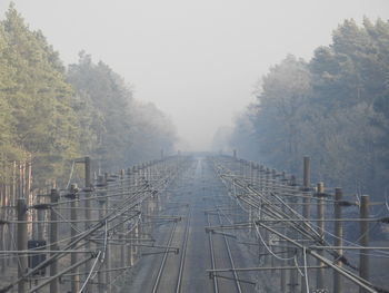 Railroad tracks amidst trees against sky