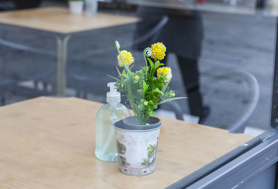 Close-up of potted plant on table