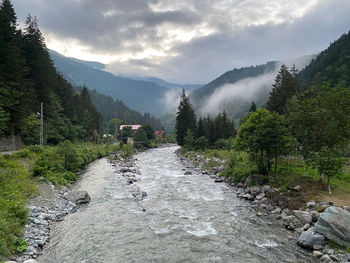 Stream flowing through rocks in forest against sky