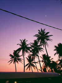 Silhouette palm trees against sky at sunset