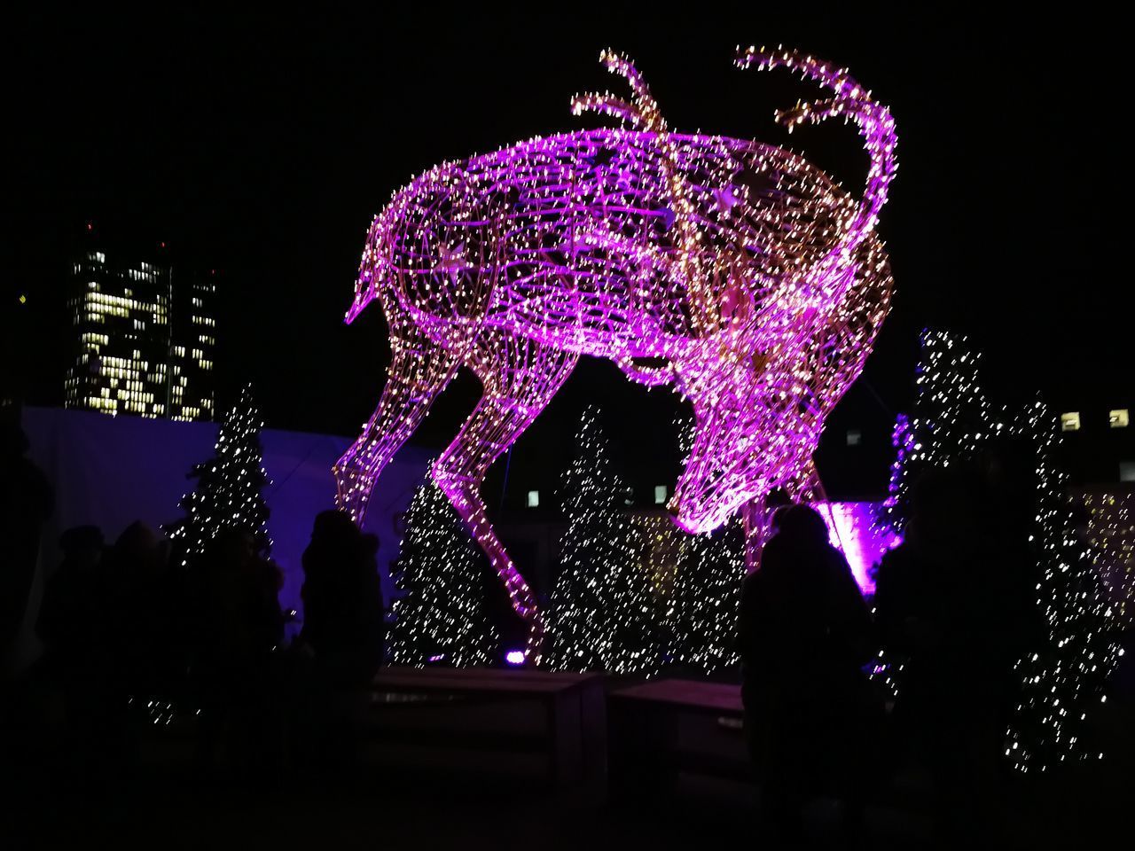 ILLUMINATED CHRISTMAS TREE AGAINST SKY