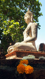 Low angle view of statue against trees