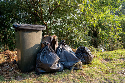 Garbage bin on field by trees