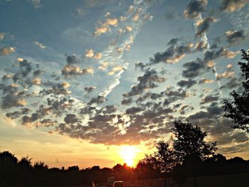 Silhouette of trees at sunset