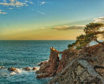 View of sea at sunset