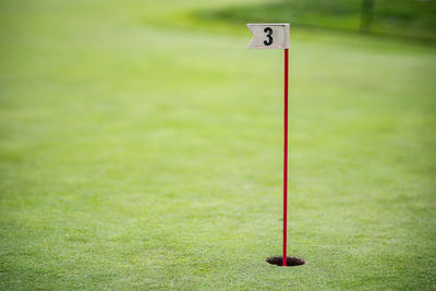 View of wooden pole on green grass