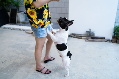 Low section of woman with dog