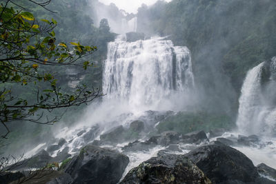 Scenic view of waterfall in forest