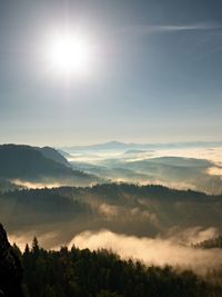 Colorful fall daybreak. misty awakening in a beautiful hills. peaks of hills are sticking up