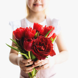 Midsection of woman holding red rose against white background