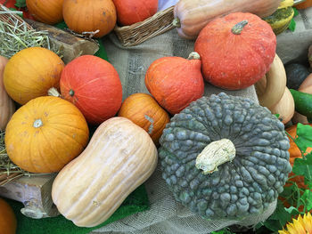 High angle view of pumpkins in market