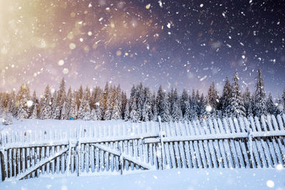 Scenic view of snow covered land and trees