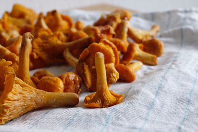 Close-up of  chantarelles 