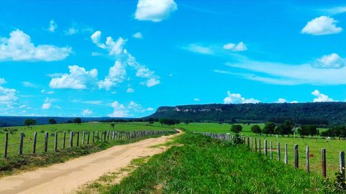 Scenic view of vineyard against sky