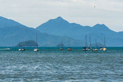 Sailboats sailing in sea against mountains